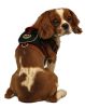 Mesh Pet Harness With Pouch